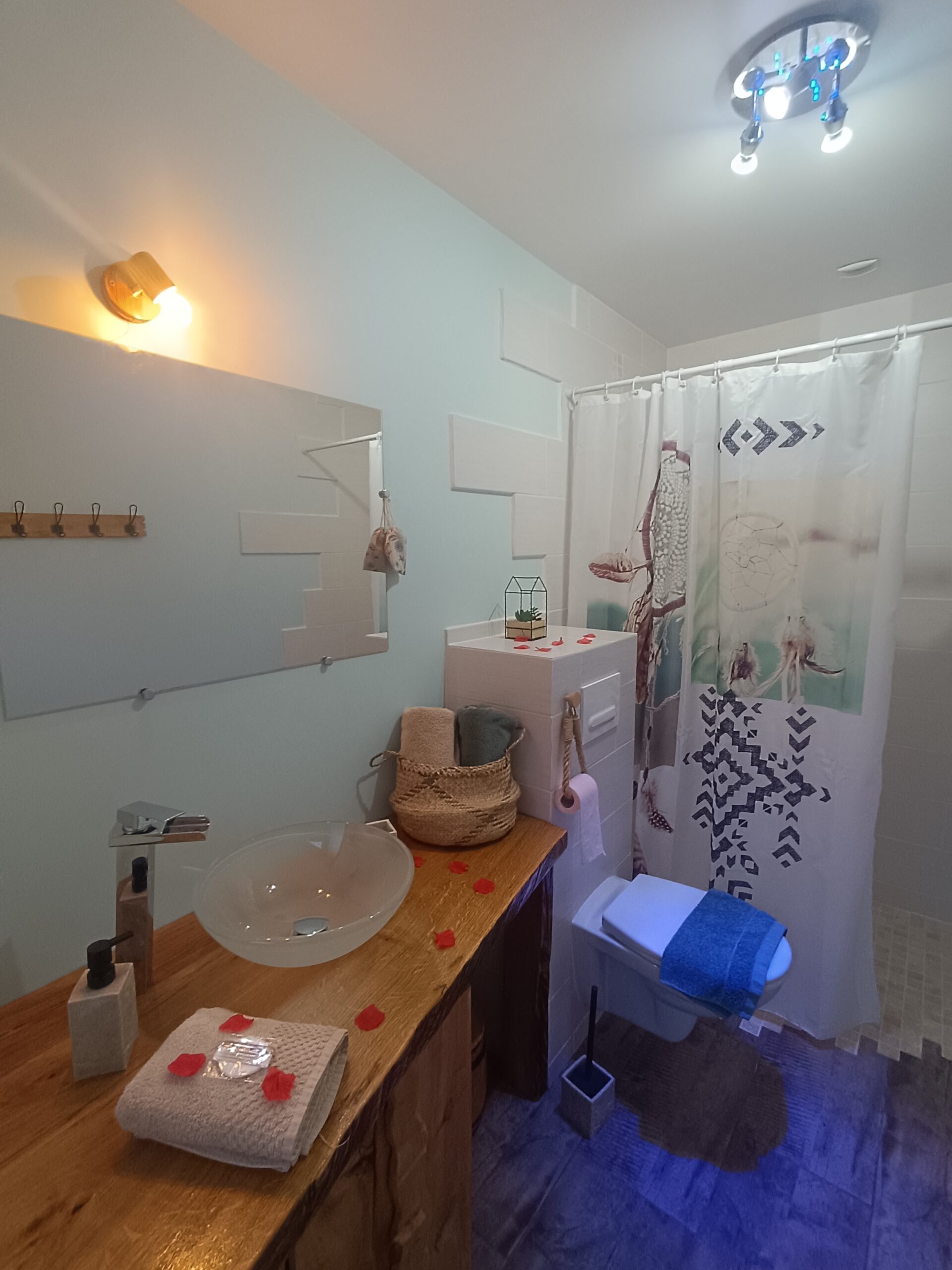 salle de bain tout confort pour logement insolite et atypique